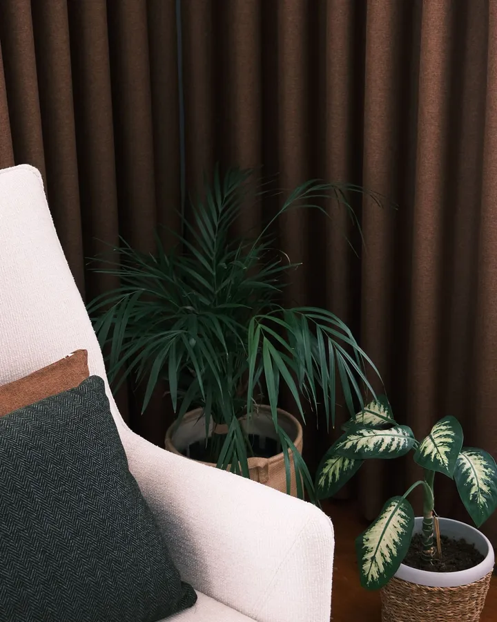 Ambiente ilustrativo com poltrona e plantas