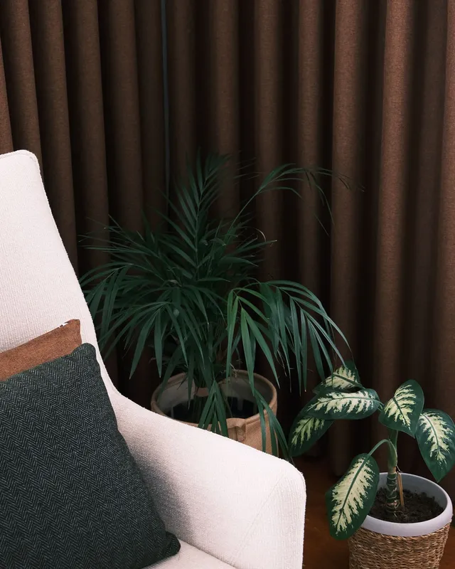 Ambiente ilustrativo com poltrona e plantas
